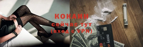 стаф Елизово