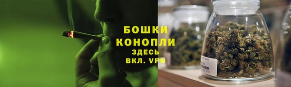стаф Елизово