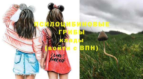 спиды Елабуга