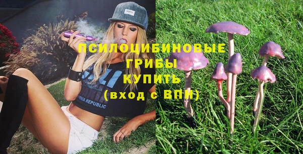 стаф Елизово
