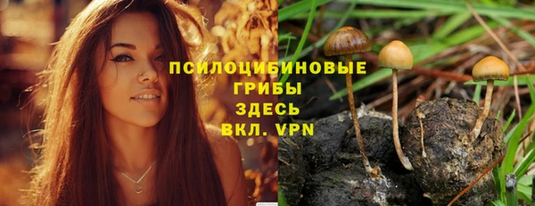 кокаин перу Ельня