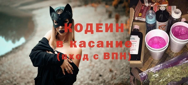 стаф Елизово